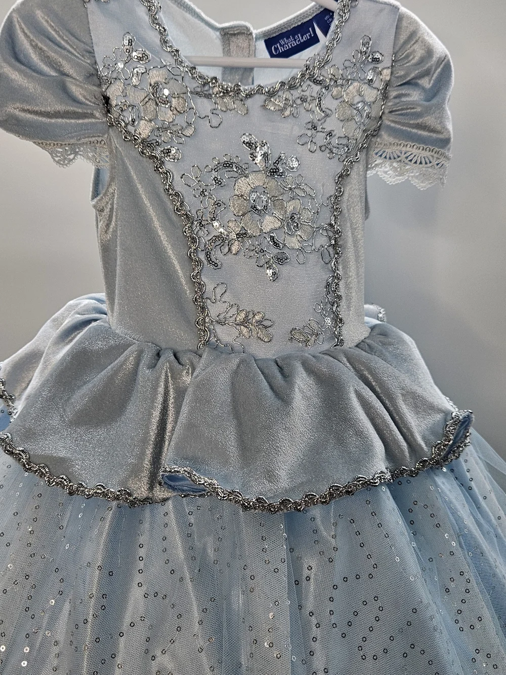 Cinderella Sparkle Blue Princess Costume Dress w/dbl Hooped Tulle-  Kids Costume